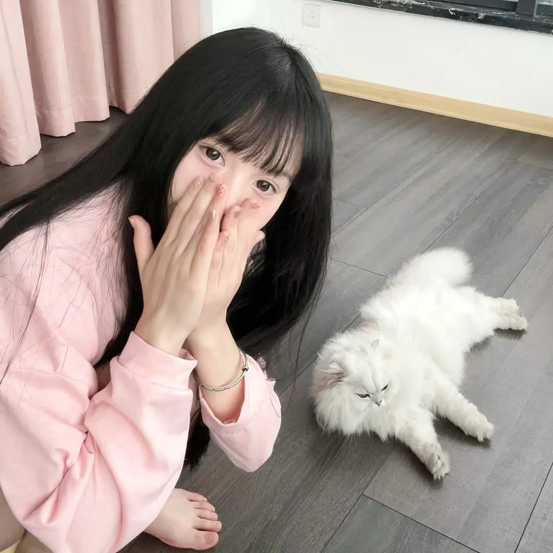 赖猫的狮子倒影